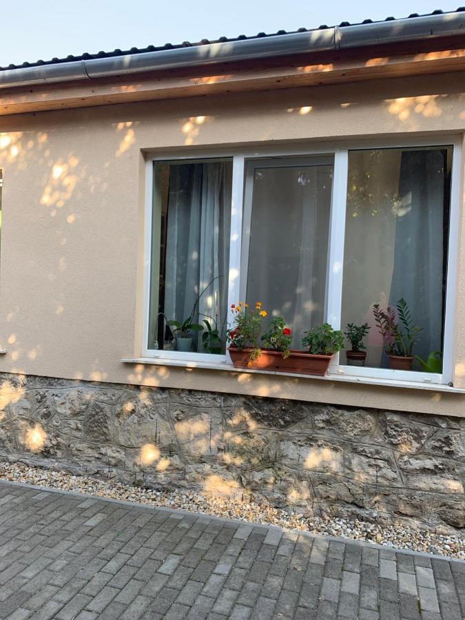 Ica Vendeghaz Leilighet Sutto Eksteriør bilde